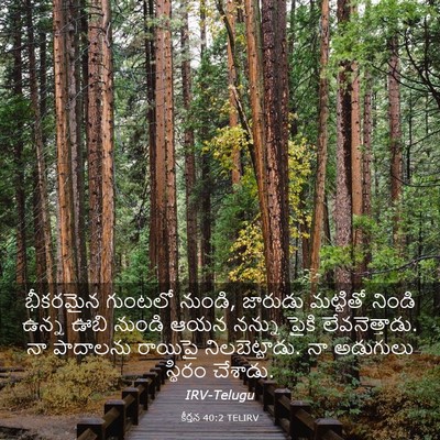 Picture 03 - కీర్తన 40:2 TELIRV - భీకరమైన గుంటలో - Bible Verse Picture