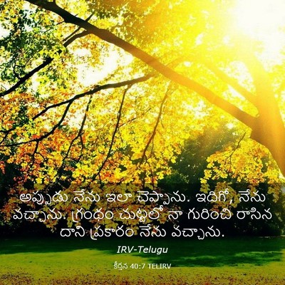 Picture 03 - కీర్తన 40:7 TELIRV - అప్పుడు నేను ఇలా - Bible Verse Picture