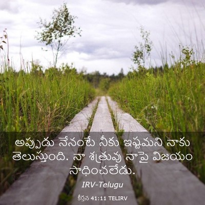 Picture 03 - కీర్తన 41:11 TELIRV - అప్పుడు నేనంటే - Bible Verse Picture