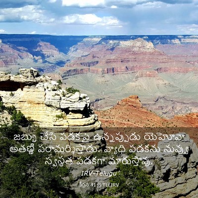 Picture 03 - కీర్తన 41:3 TELIRV - జబ్బు చేసి పడకపై - Bible Verse Picture