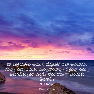 Picture 03 - కీర్తన 42:9 TELIRV - నా ఆశ్రయశిల అయిన - Bible Verse Picture