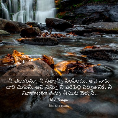 Picture 03 - కీర్తన 43:3 TELIRV - నీ వెలుగునూ, నీ - Bible Verse Picture
