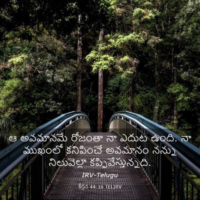 Picture 03 - కీర్తన 44:16 TELIRV - ఆ అవమానమే రోజంతా - Bible Verse Picture