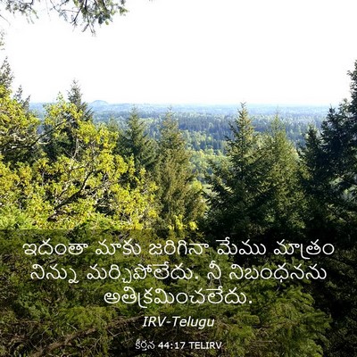 Picture 03 - కీర్తన 44:17 TELIRV - ఇదంతా మాకు - Bible Verse Picture