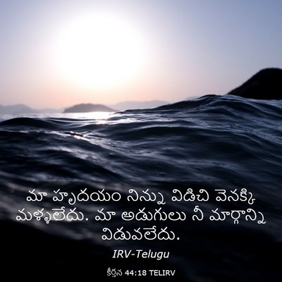 Picture 03 - కీర్తన 44:18 TELIRV - మా హృదయం నిన్ను - Bible Verse Picture