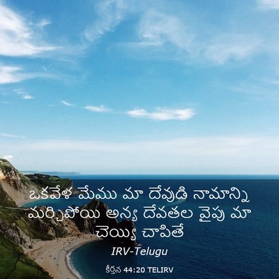 Picture 03 - కీర్తన 44:20 TELIRV - ఒకవేళ మేము మా - Bible Verse Picture