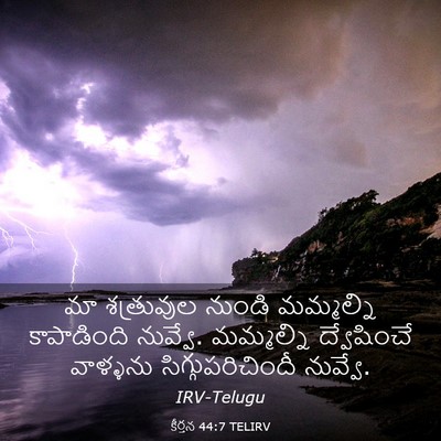 Picture 03 - కీర్తన 44:7 TELIRV - మా శత్రువుల నుండి - Bible Verse Picture