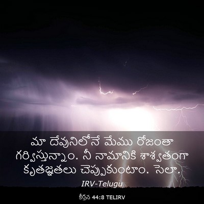 Picture 03 - కీర్తన 44:8 TELIRV - మా దేవునిలోనే - Bible Verse Picture