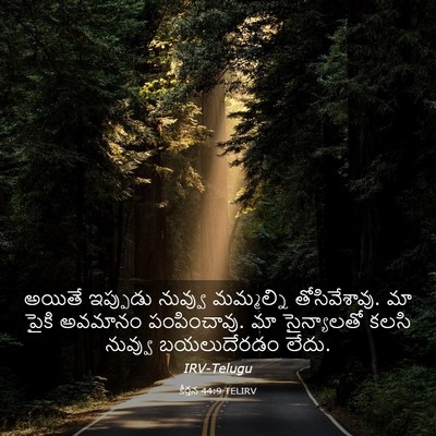 Picture 03 - కీర్తన 44:9 TELIRV - అయితే ఇప్పుడు - Bible Verse Picture