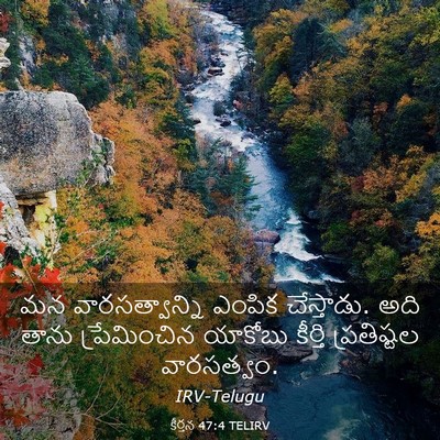 Picture 03 - కీర్తన 47:4 TELIRV - మన వారసత్వాన్ని - Bible Verse Picture