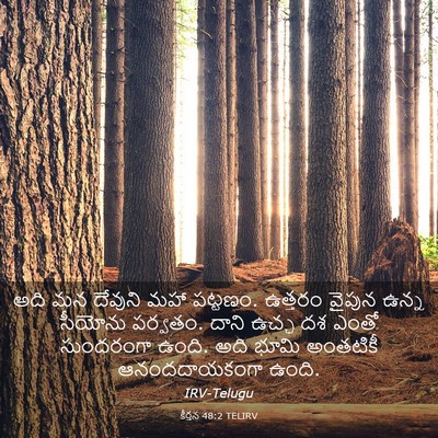 Picture 03 - కీర్తన 48:2 TELIRV - అది మన దేవుని మహా - Bible Verse Picture