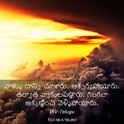 Picture 03 - కీర్తన 48:5 TELIRV - వాళ్ళు దాన్ని - Bible Verse Picture