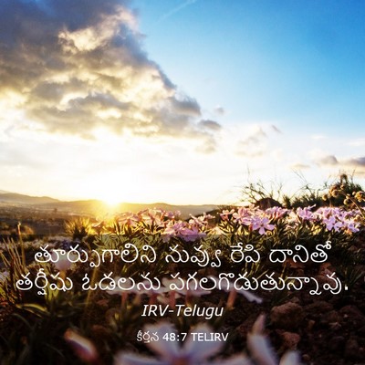 Picture 03 - కీర్తన 48:7 TELIRV - తూర్పుగాలిని - Bible Verse Picture
