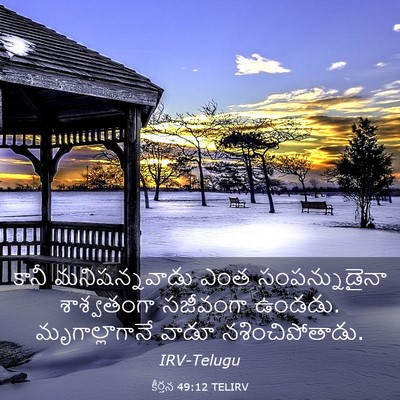 Picture 03 - కీర్తన 49:12 TELIRV - కానీ మనిషన్నవాడు - Bible Verse Picture
