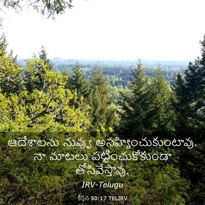 Picture 03 - కీర్తన 50:17 TELIRV - ఆదేశాలను నువ్వు - Bible Verse Picture