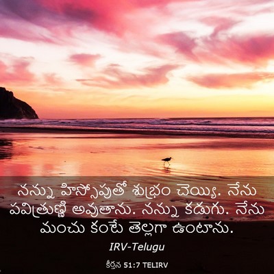 Picture 03 - కీర్తన 51:7 TELIRV - నన్ను హిస్సోపుతో - Bible Verse Picture