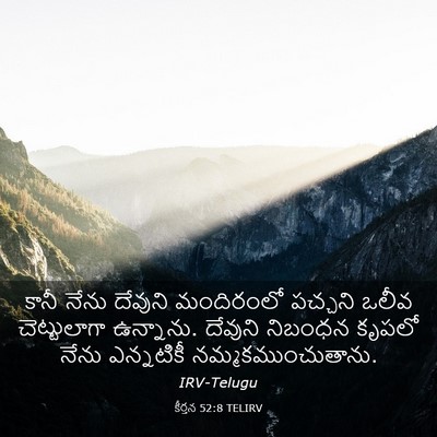 Picture 03 - కీర్తన 52:8 TELIRV - కానీ నేను దేవుని - Bible Verse Picture