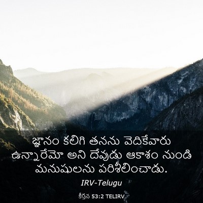 Picture 03 - కీర్తన 53:2 TELIRV - జ్ఞానం కలిగి తనను - Bible Verse Picture
