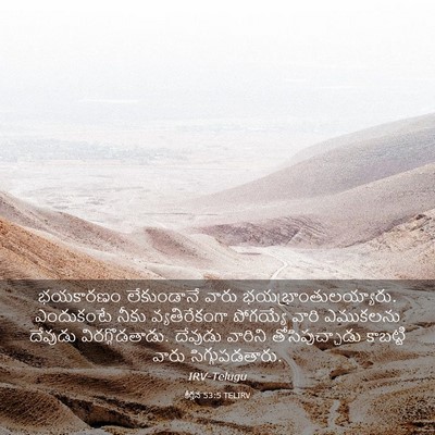 Picture 03 - కీర్తన 53:5 TELIRV - భయకారణం లేకుండానే - Bible Verse Picture
