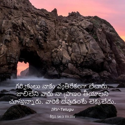 Picture 03 - కీర్తన 54:3 TELIRV - గర్వికులు నాకు - Bible Verse Picture