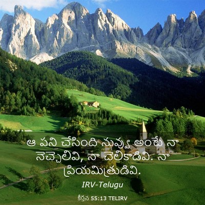 Picture 03 - కీర్తన 55:13 TELIRV - ఆ పని చేసింది - Bible Verse Picture