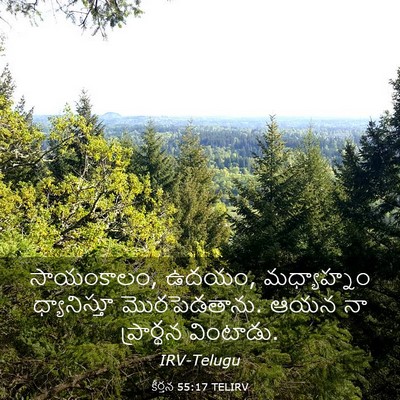 Picture 03 - కీర్తన 55:17 TELIRV - సాయంకాలం, ఉదయం, - Bible Verse Picture