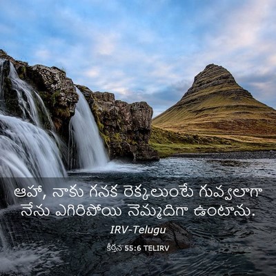 Picture 03 - కీర్తన 55:6 TELIRV - ఆహా, నాకు గనక - Bible Verse Picture