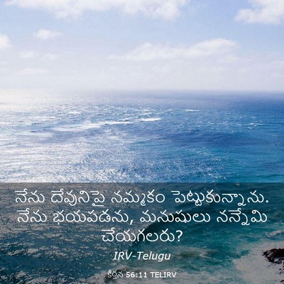 Picture 03 - కీర్తన 56:11 TELIRV - నేను దేవునిపై - Bible Verse Picture