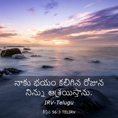 Picture 03 - కీర్తన 56:3 TELIRV - నాకు భయం కలిగిన - Bible Verse Picture