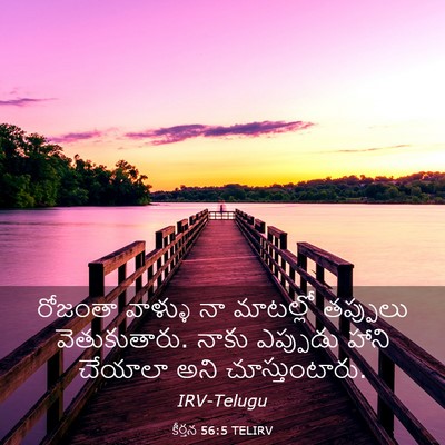 Picture 03 - కీర్తన 56:5 TELIRV - రోజంతా వాళ్ళు నా - Bible Verse Picture