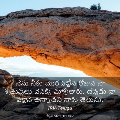 Picture 03 - కీర్తన 56:9 TELIRV - నేను నీకు - Bible Verse Picture
