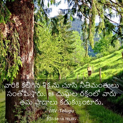 Picture 03 - కీర్తన 58:10 TELIRV - వారికి కలిగిన - Bible Verse Picture