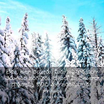 Picture 03 - కీర్తన 58:2 TELIRV - లేదు, అలా చెయ్యరు. - Bible Verse Picture