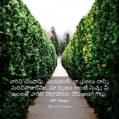 Picture 03 - కీర్తన 59:11 TELIRV - వారిని చంపొద్దు. - Bible Verse Picture