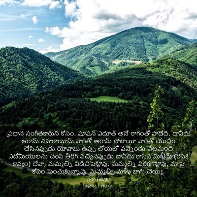 Picture 03 - కీర్తన 60:1 TELIRV - ప్రధాన - Bible Verse Picture