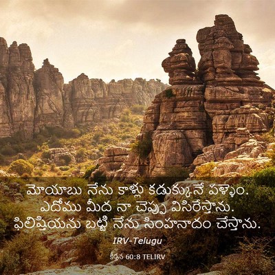 Picture 03 - కీర్తన 60:8 TELIRV - మోయాబు నేను - Bible Verse Picture