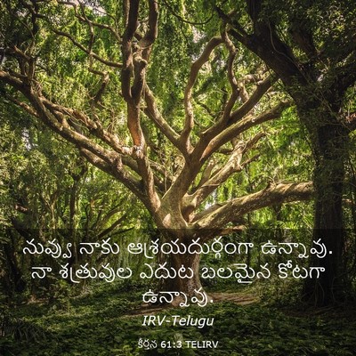 Picture 03 - కీర్తన 61:3 TELIRV - నువ్వు నాకు - Bible Verse Picture