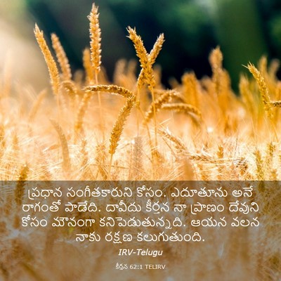 Picture 03 - కీర్తన 62:1 TELIRV - ప్రధాన - Bible Verse Picture