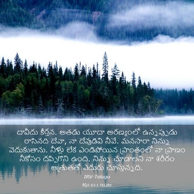 Picture 03 - కీర్తన 63:1 TELIRV - దావీదు కీర్తన. - Bible Verse Picture
