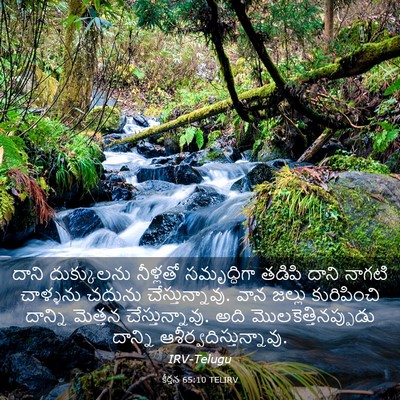 Picture 03 - కీర్తన 65:10 TELIRV - దాని దుక్కులను - Bible Verse Picture