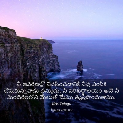 Picture 03 - కీర్తన 65:4 TELIRV - నీ ఆవరణల్లో - Bible Verse Picture