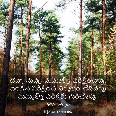 Picture 03 - కీర్తన 66:10 TELIRV - దేవా, నువ్వు - Bible Verse Picture