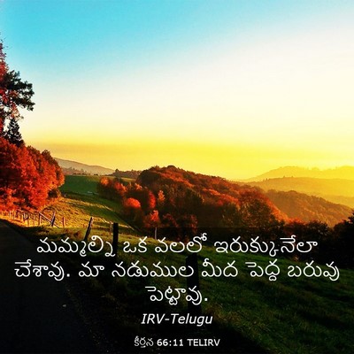 Picture 03 - కీర్తన 66:11 TELIRV - మమ్మల్ని ఒక వలలో - Bible Verse Picture