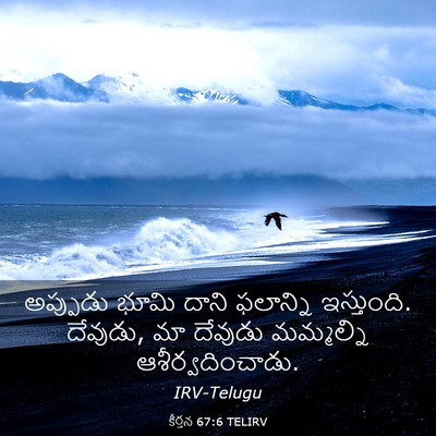 Picture 03 - కీర్తన 67:6 TELIRV - అప్పుడు భూమి దాని - Bible Verse Picture
