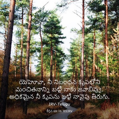 Picture 03 - కీర్తన 69:16 TELIRV - యెహోవా, నీ నిబంధన - Bible Verse Picture