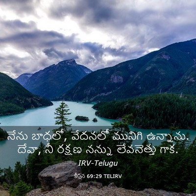 Picture 03 - కీర్తన 69:29 TELIRV - నేను బాధలో, వేదనలో - Bible Verse Picture