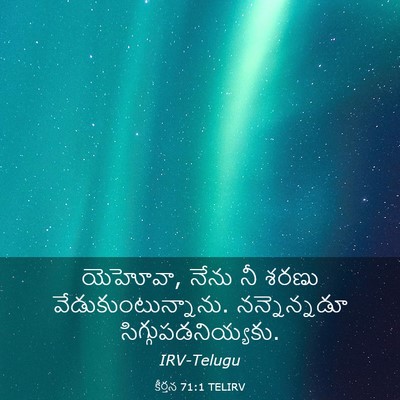 Picture 03 - కీర్తన 71:1 TELIRV - యెహోవా, నేను నీ - Bible Verse Picture