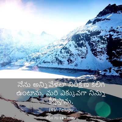 Picture 03 - కీర్తన 71:14 TELIRV - నేను అన్నివేళలా - Bible Verse Picture