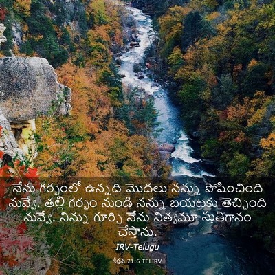 Picture 03 - కీర్తన 71:6 TELIRV - నేను గర్భంలో - Bible Verse Picture
