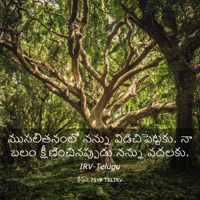 Picture 03 - కీర్తన 71:9 TELIRV - ముసలితనంలో నన్ను - Bible Verse Picture
